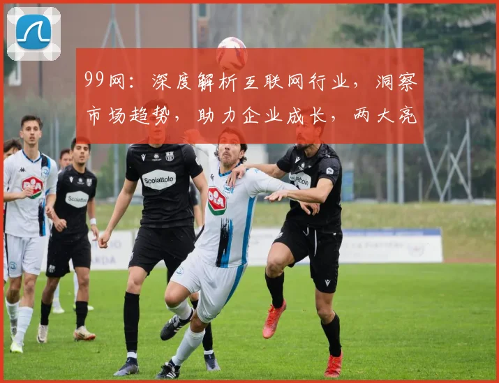 99网：深度解析互联网行业，洞察市场趋势，助力企业成长，两大亮点不容错过